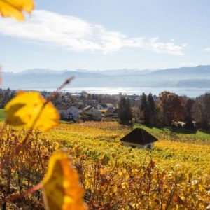 ALLA SCOPERTA DI ZURIGO – L’autunno culinario a Zurigo e 10 escursioni imperdibili