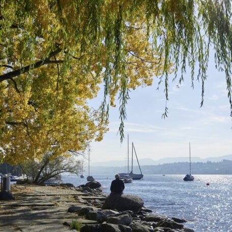 Zürichsee, Segelboot