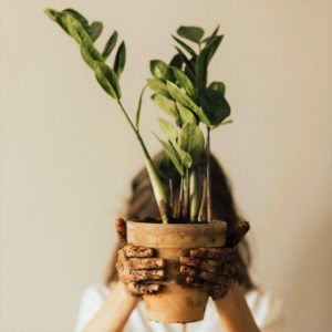 CASA – Idee e consigli per il giardinaggio