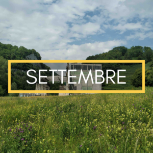 PARCO DELLE GOLE DELLA BREGGIA – Gli eventi eventi del mese