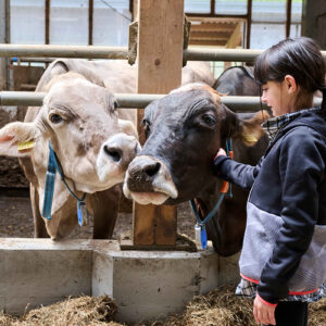 TICINO – Agriesperienze: esperienze autentiche per scoprire i produttori locali (e degustare i loro prodotti)