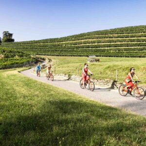 MENDRISIOTTO – Attività ed eventi da non perdere nel mese di aprile