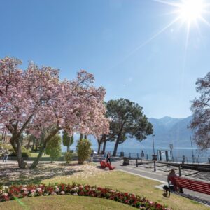 ASCONA-LOCARNO – Attività ed eventi da non perdere nel mese di aprile