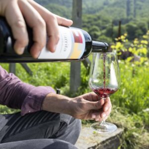 TICINO (E ZURIGO) – Alla scoperta del Ticino vitivinicolo, Cantine Aperte, Caseifici aperti… e Gusta Ticino