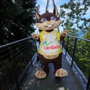 CARDADA – Cardada Cimetta – the place to be