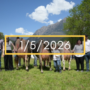 PIAN CASTRO – Esposizione zootecnica Bleniese (la principale festa rurale della Valle di Blenio)