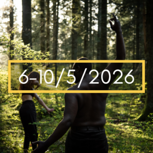 TICINO (E POSCHIAVO) – Festa Danzante