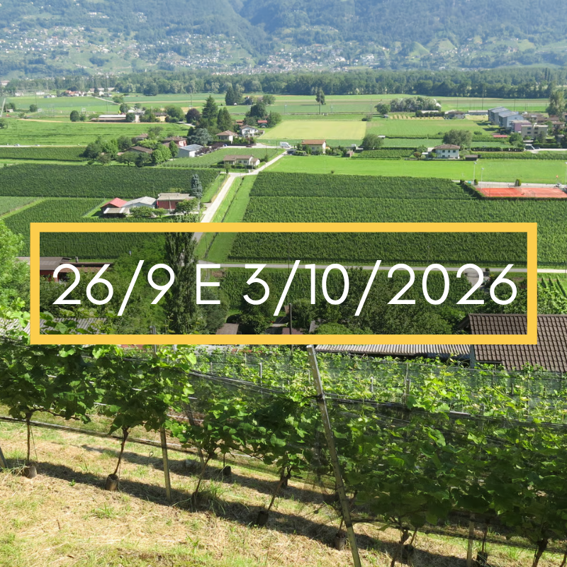 CONTONE – Gustiamo Contone e i suoi vigneti